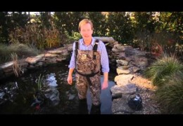 Tips For Winterizing your Pond