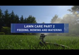 Lawn Fertilizing, Mowing and Watering Tips