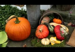 Fall Entryway Display Tips