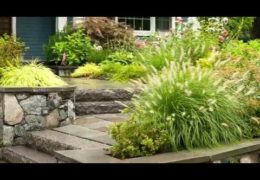 Beautiful Front Yard Landscaping Ideas