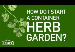 How to Grow Edibles in Containers