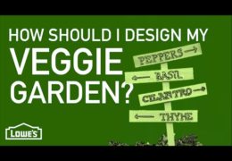 How to Design a Vegetable Garden