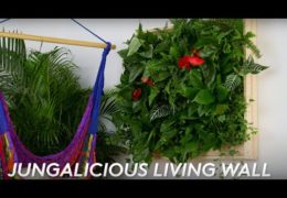 Bring the Outdoors in with a Living Wall