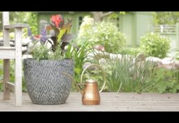 Quick and Easy Drought-Tolerant Container Garden