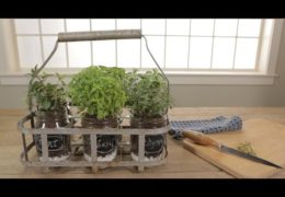 How to Create a Portable Herb Garden for Your Kitchen