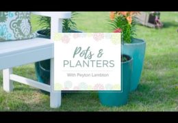 Tips for Styling an Outdoor Space with Planters