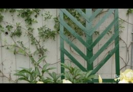 How to Build a Chevron-Patterned Lattice Trellis