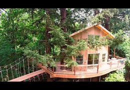 California Riverside Treehouse