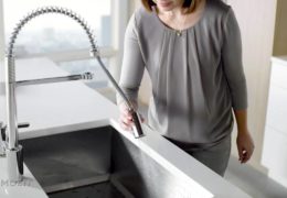 Align Pre-Rinse Spring Kitchen Faucet