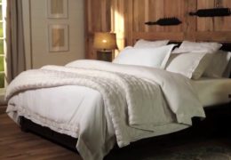 Basics of White Bedding