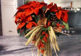 How to Add a Natural Accent to a Poinsettia Plant