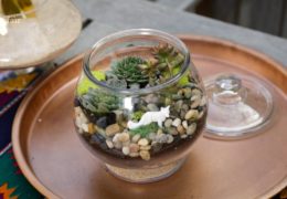 Easy DIY Succulent Terrarium