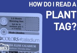 How to Read a Plant Tag