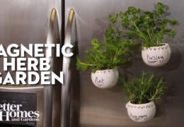 How to Make a Magnetic Herb Garden