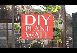 How to Build an Outdoor Plant Wall