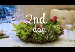 How to Make a Succulent Christmas Wreath