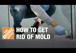 How to Remove Surface Mold