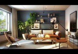 Decorating Ideas for Indoor Plants