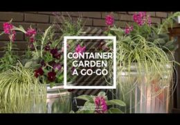 How to Make a DIY Mobile Container Garden