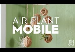 How to Make an Air Plant Mobile