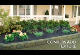 How to Layer a Garden Bed Design for Curb Appeal