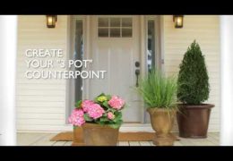 How to Create a Welcoming Front Door with Plants