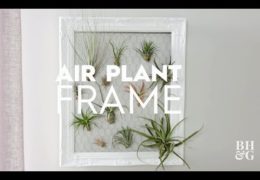 How to Make an Air Plant Frame