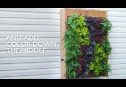 How to Plant a Vertical Wall Garden