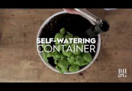 How to Make a Self-Watering Container