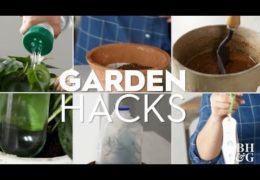 Six Everyday Objects You Can Repurpose for Gardening