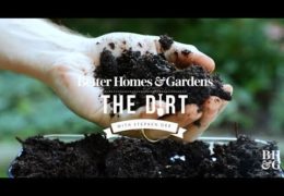 Composting for Beginners