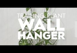 Indoor Trailing Plant Trellis