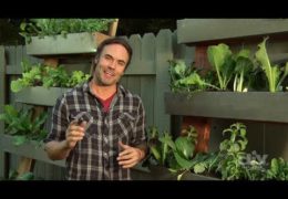 How to Build a Vertical Herb Garden from Rain Gutters