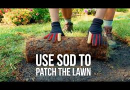 How to Use Sod to Patch a Lawn