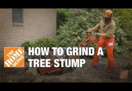 How to Remove a Tree Stump with a Grinder