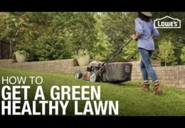 How to Get a Green Healthy Lawn