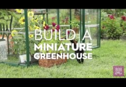 How to Make a DIY Miniature Greenhouse