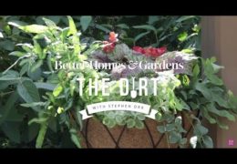 How to Plant and Maintain a Hanging Basket