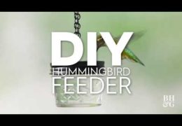 How to Make a Hummingbird Feeder