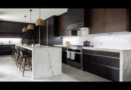 Modern Luxurious Dark Kitchen and Main Floor Renovation