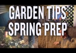 How to Prepare for Spring Gardening