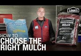 How to Select the Right Mulch for Your Landscape