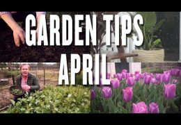 Ten Spring Gardening Tips