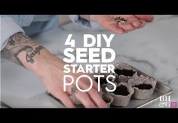 How to Make Seed Starter Pots