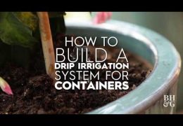 How to Make a Drip Irrigation System for a Container Garden