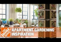 How to Get Started with Apartment Gardening