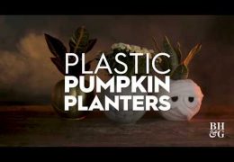 How to Make Halloween Pumpkin Planters