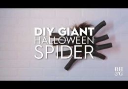 How to Make a Giant Halloween Spider