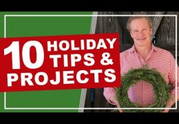 Ten Holiday Decorating Projects and Tips