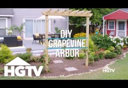 How to Build a Grapevine Arbor